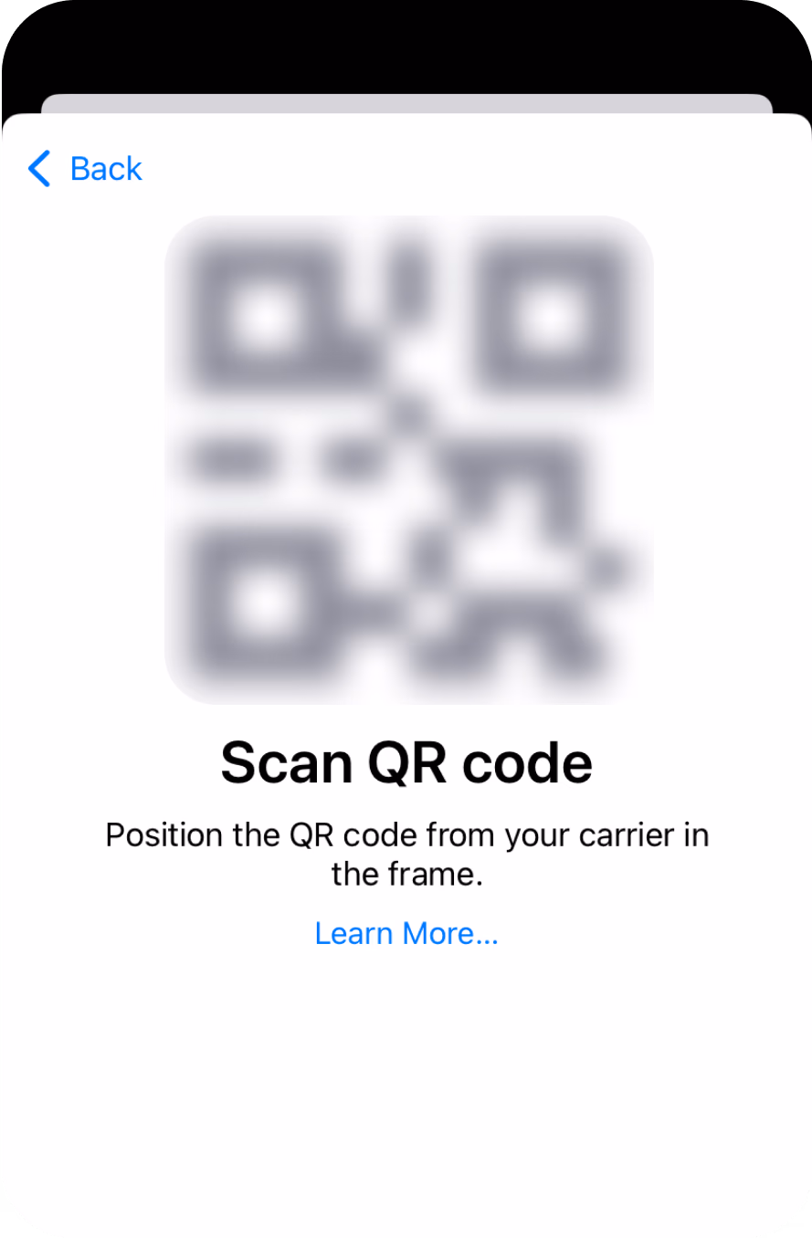 Follow the on-screen instructions to install and activate the eSIM.